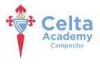 Celta Academy